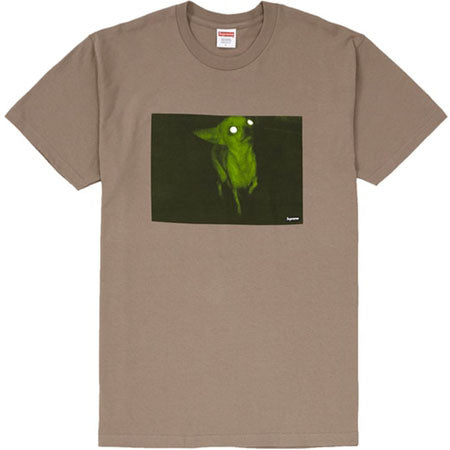 Chris cunningham chihuahua tee hot sale