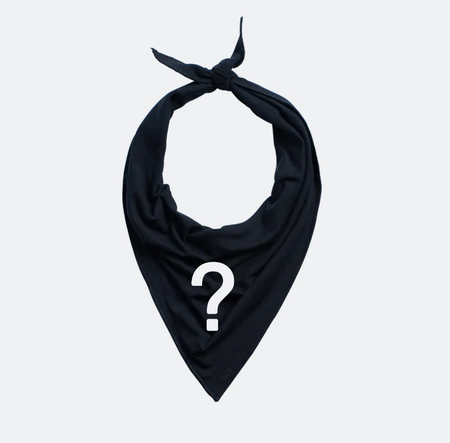 Mystery Bandana