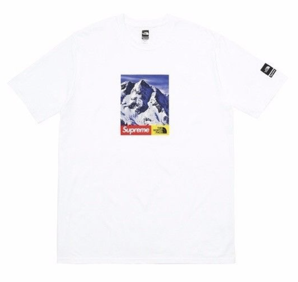 Supreme x The North Face Mountain Tee