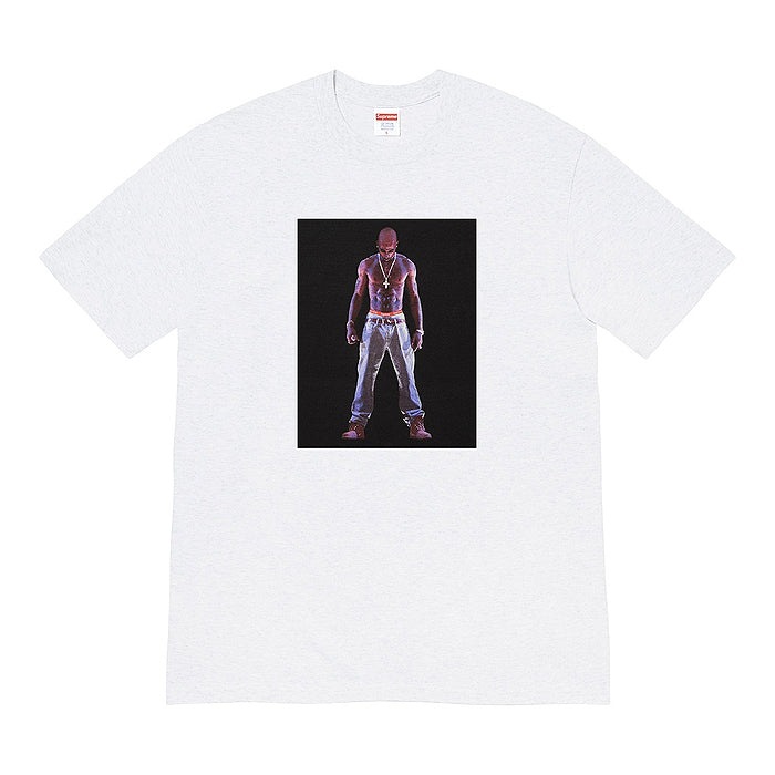 Supreme Hologram Tee- Ash Grey