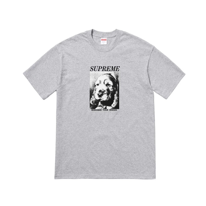 Supreme Remember Tee- Grey