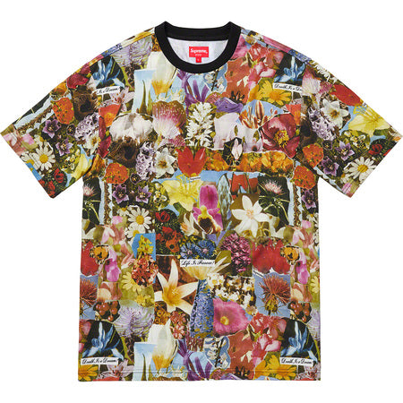 Supreme Dream S/S Top