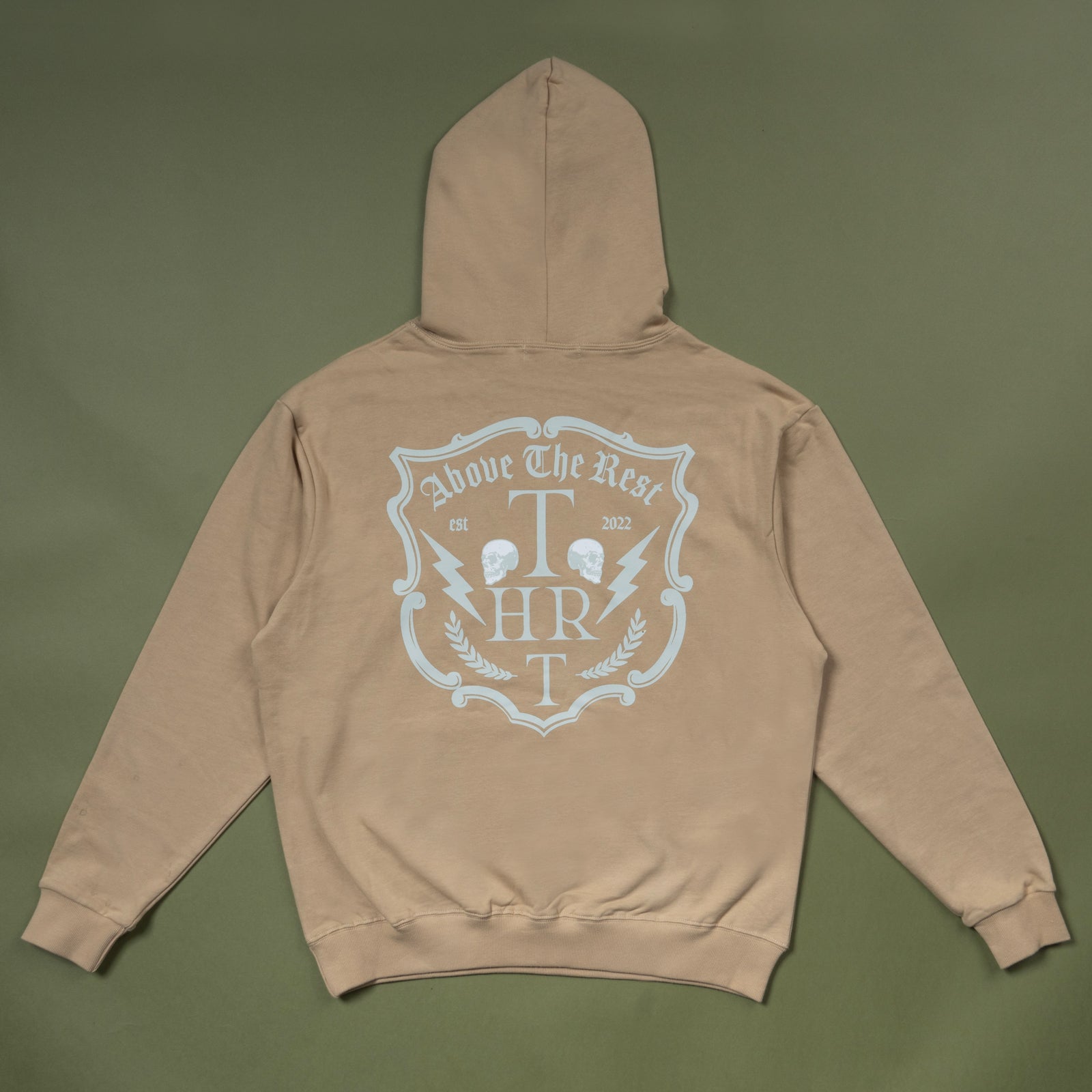 ABOVE THE REST MINERAL HOODIE - BROWN