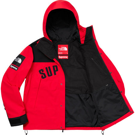 Supreme The North Face Arc Logo Mountain Parka- Red