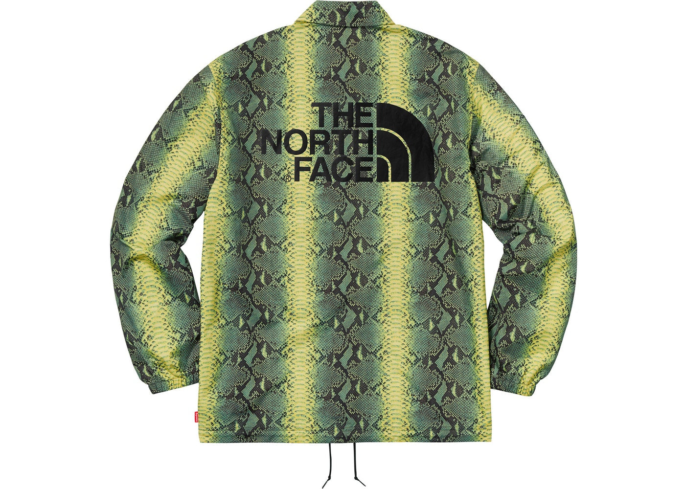 Supreme The North Face Snakeskin Taped Seam Coaches Jacket- Green