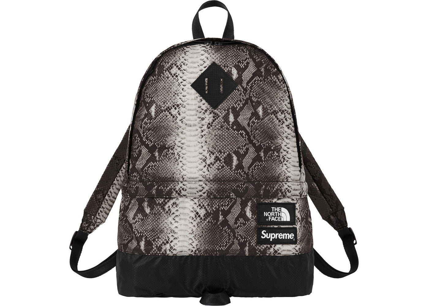 Supreme The North Face Snakeskin Lightweight Day Pack- Black
